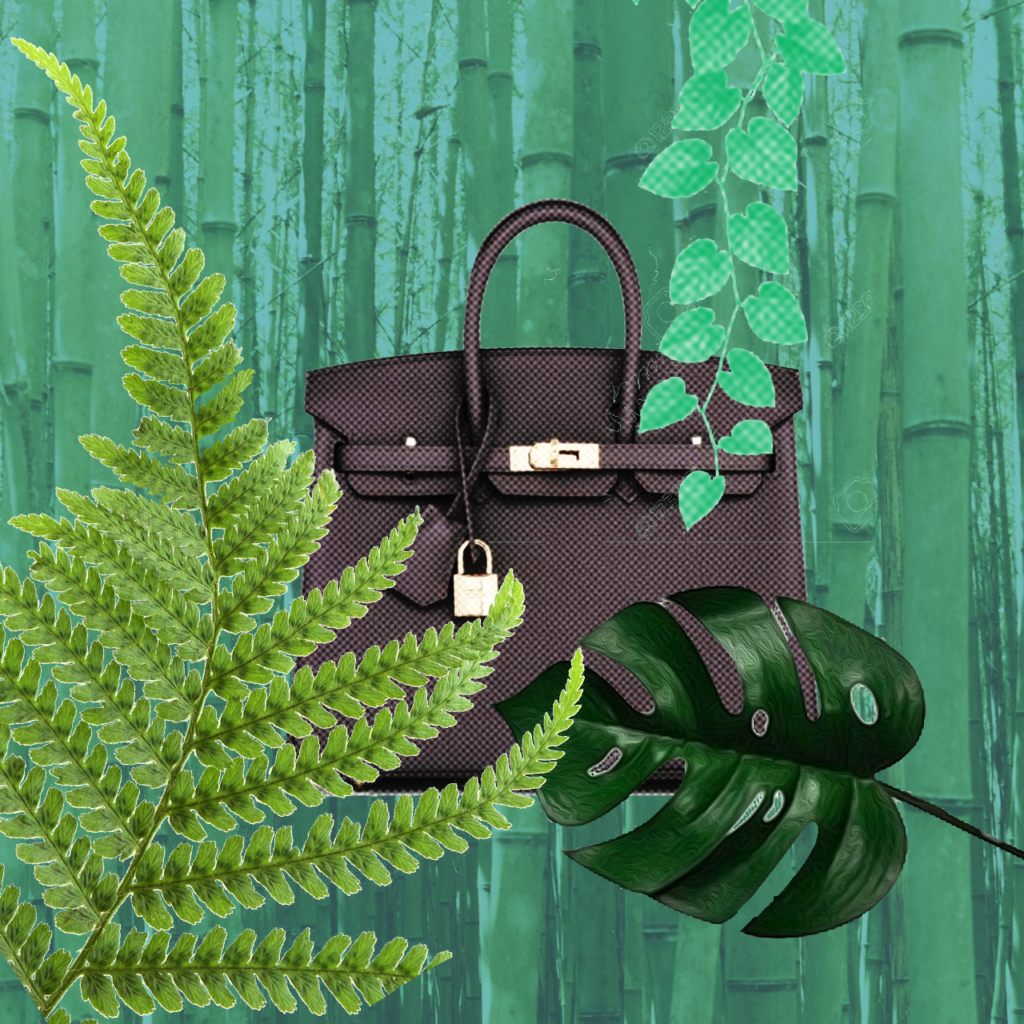 Exotic Interiors Studio